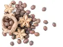 Untitled-1-Sacha Inchi.webp